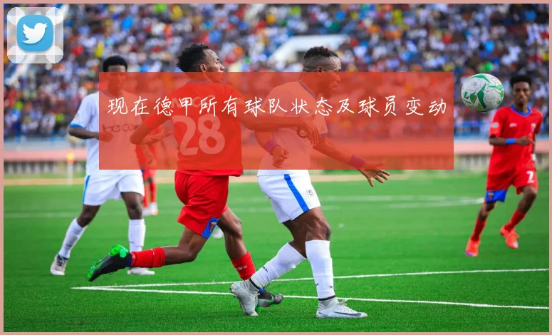 现在德甲所有球队状态及球员变动