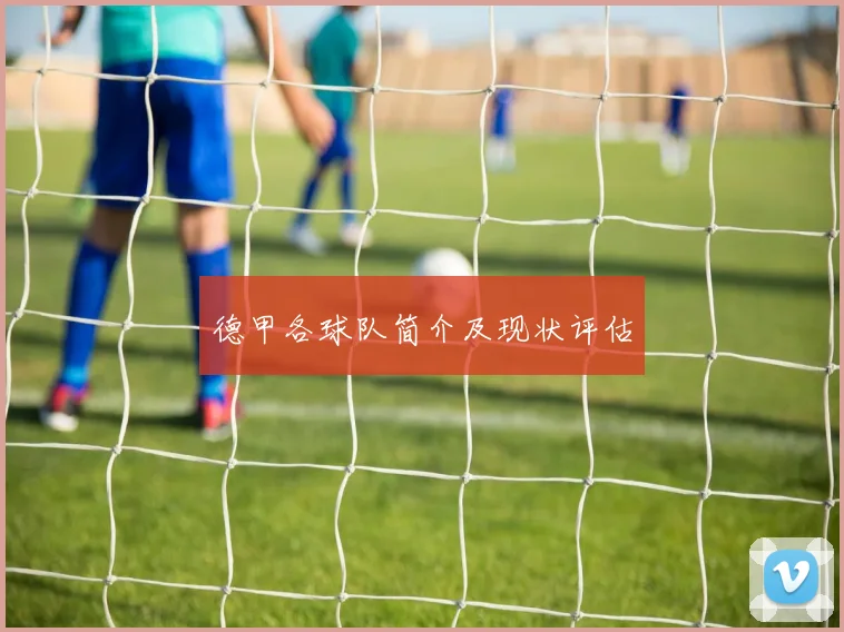 德甲各球队简介及现状评估