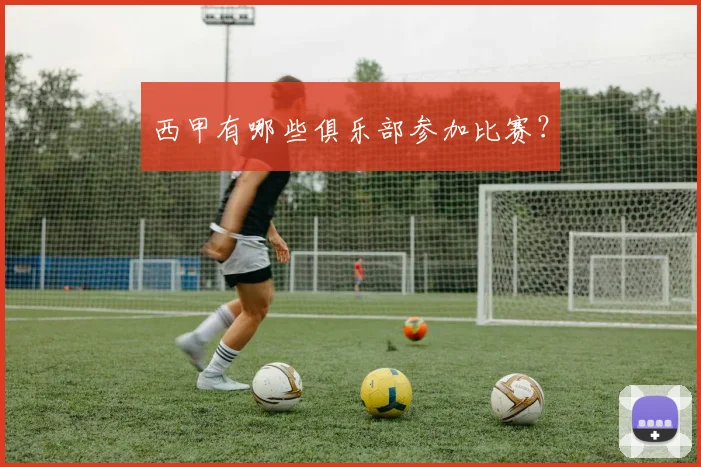 西甲有哪些俱乐部参加比赛？