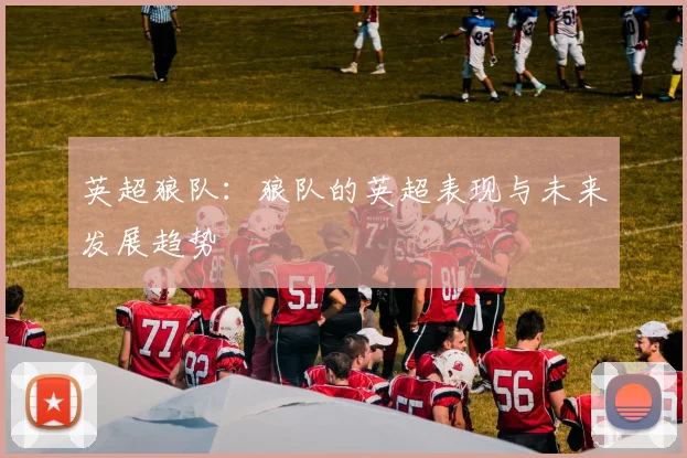 英超狼队：狼队的英超表现与未来发展趋势