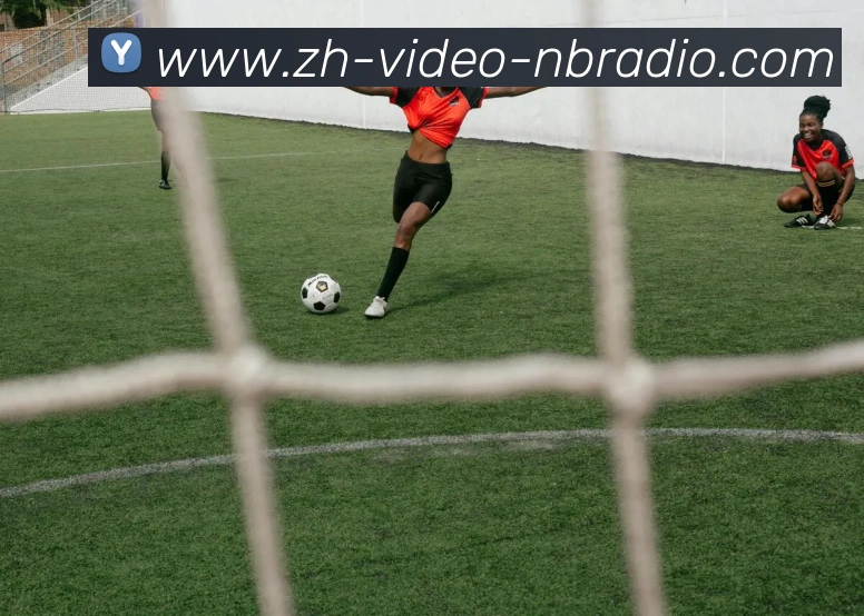 纬来体育发展历程